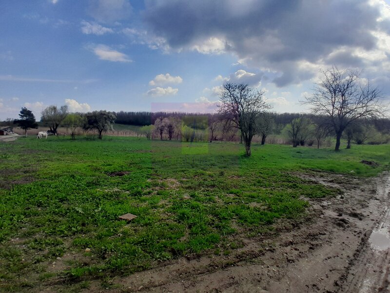 GIURGIU - SE VINDE TEREN 3400 MP IN SAT PODU ILFOVATULUI