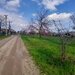 GIURGIU - SE VINDE TEREN 3400 MP IN SAT PODU ILFOVATULUI