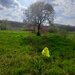 GIURGIU - SE VINDE TEREN 3400 MP IN SAT PODU ILFOVATULUI