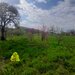 GIURGIU - SE VINDE TEREN 3400 MP IN SAT PODU ILFOVATULUI